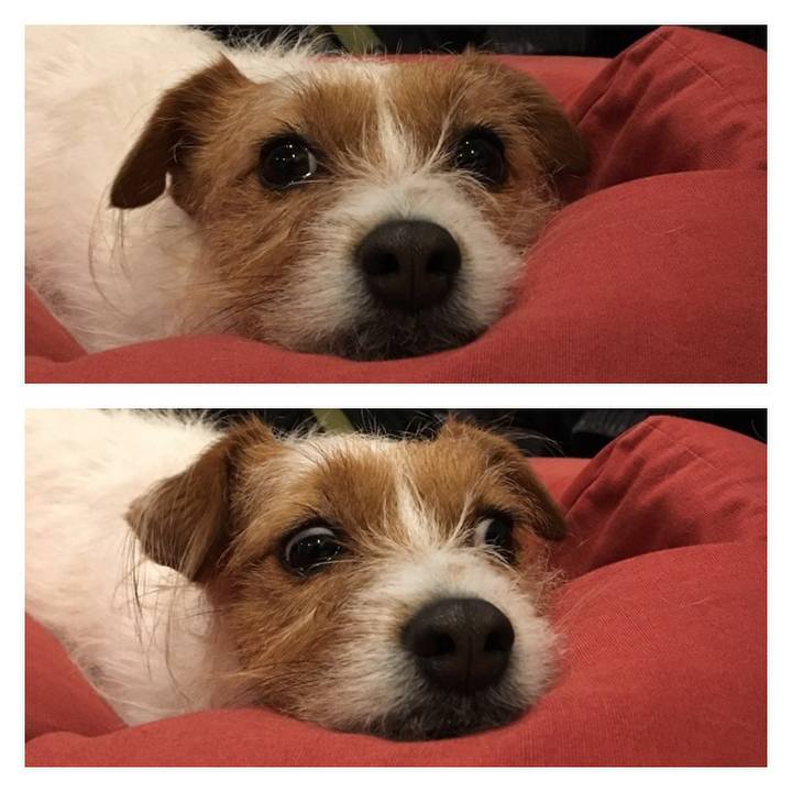 58595d30 7562 40e9 9285 3905533bbe3d