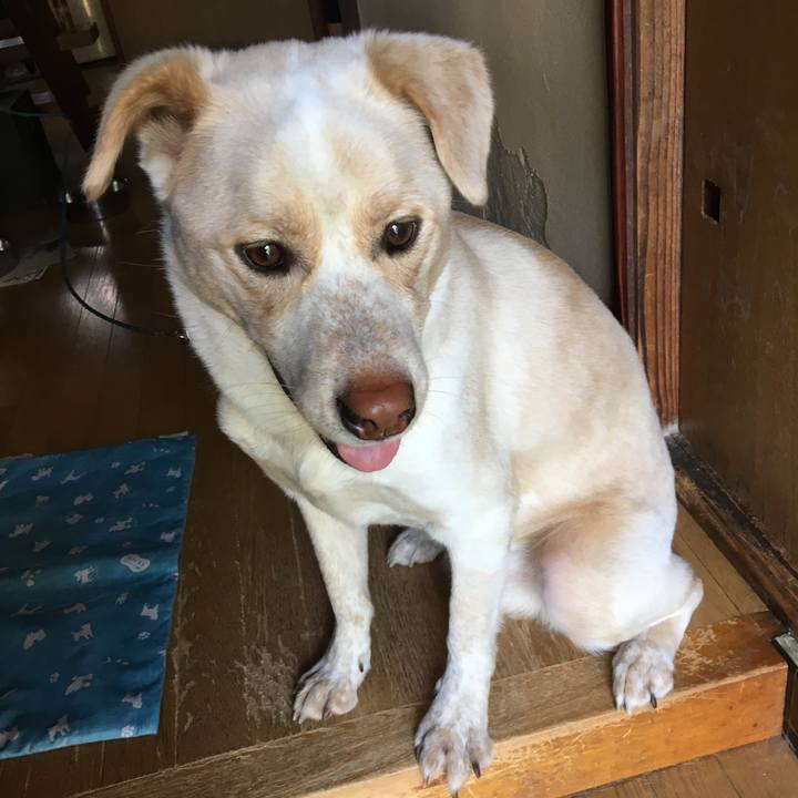 5859f12c cbe2 4738 b113 fde73479c75d