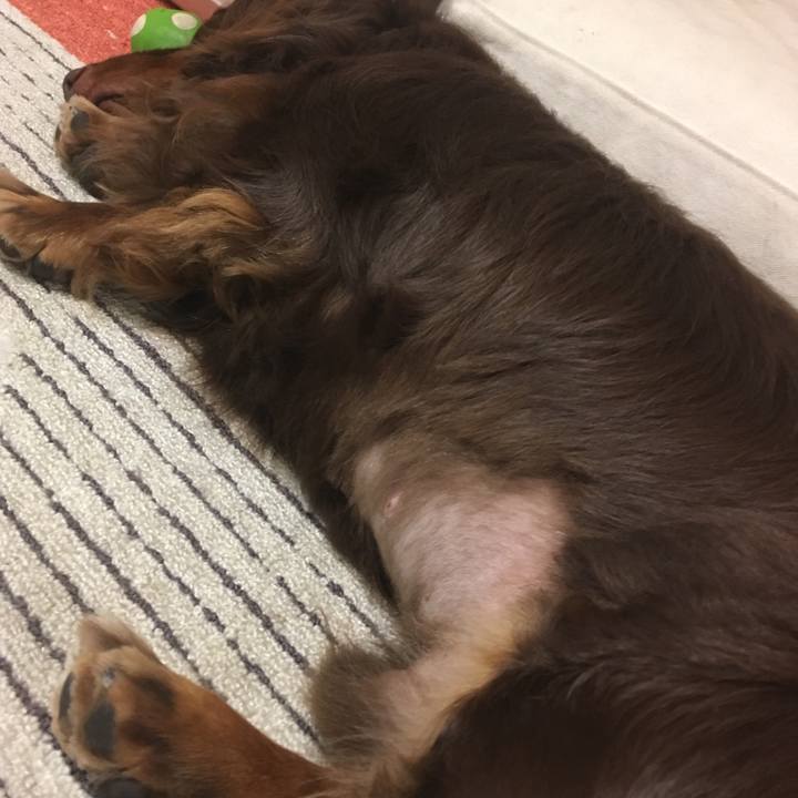 585aabf0 cb2f 4bf3 8754 9d58303817d5