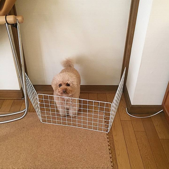 585babe5 84fa 45ce ad0e 27c7ec455057