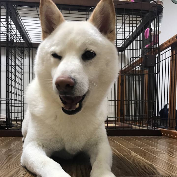 585bb5fc 3da7 4d0f 801b 6ff3d34481bb