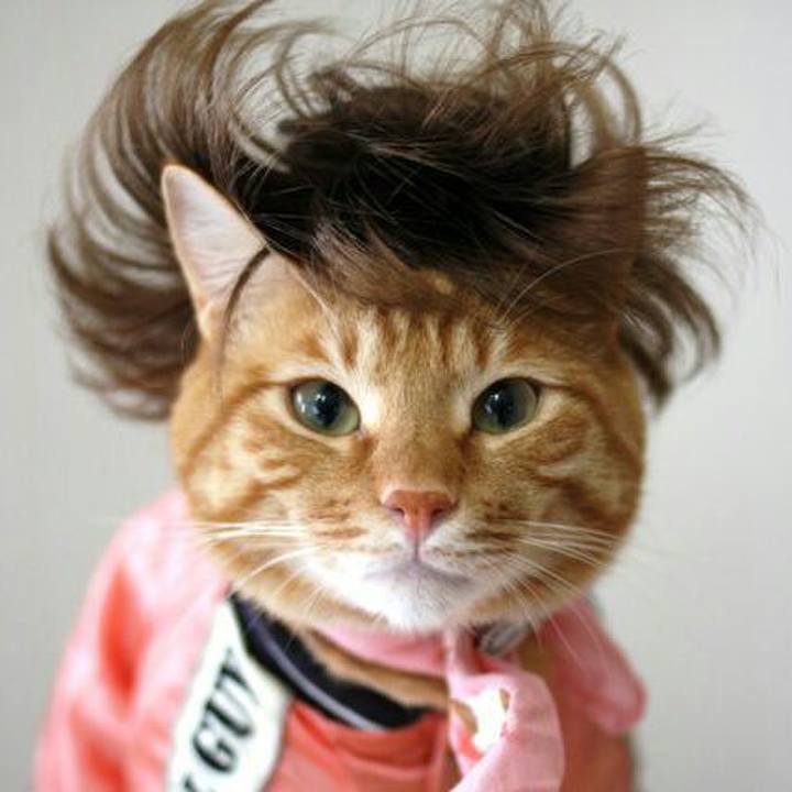 585bd5ec 5d7b 4a6c b3fb 5ca9c3998dd2