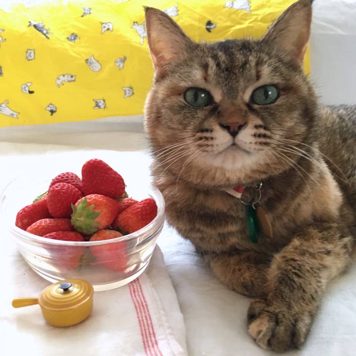 585bd711 39e3 401c 910f 4692d338b050