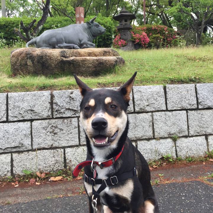 585c99e1 3d46 4ebc a6b6 7cddc152ae2d