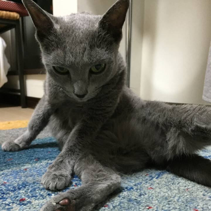 585ce3c0 fd73 48ea 96ff f054039fd325