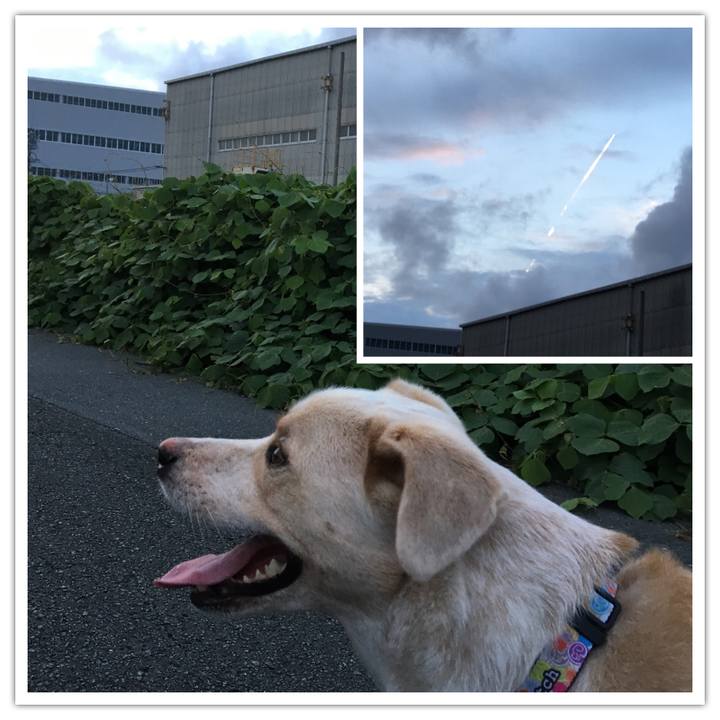 585d9d8c 13bb 4fc9 a3a2 37dffbe2dae2