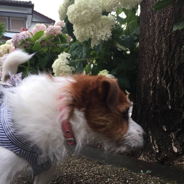 585e45b7 d64b 4de2 8cbb d071f0a5bade