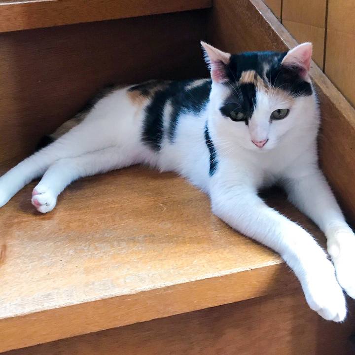 585e889b 72ab 4039 b73d 5a6adda70462