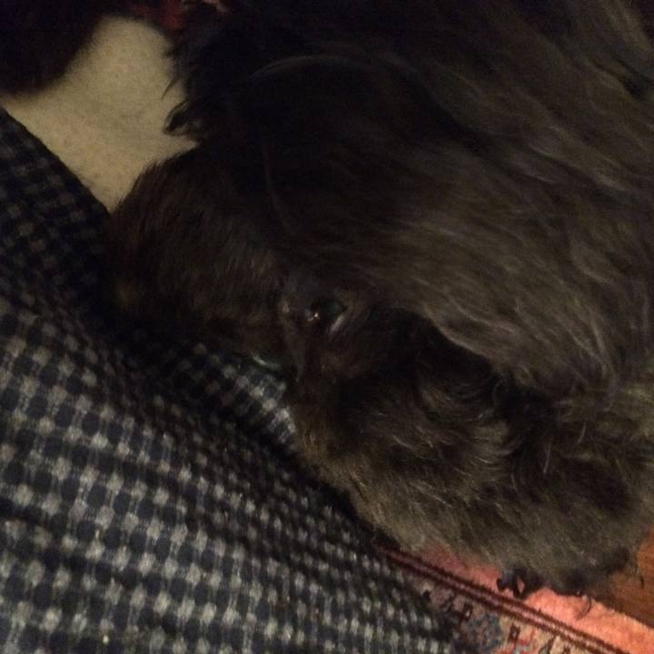 585e9839 d096 45da b2fa ec3581139a7a