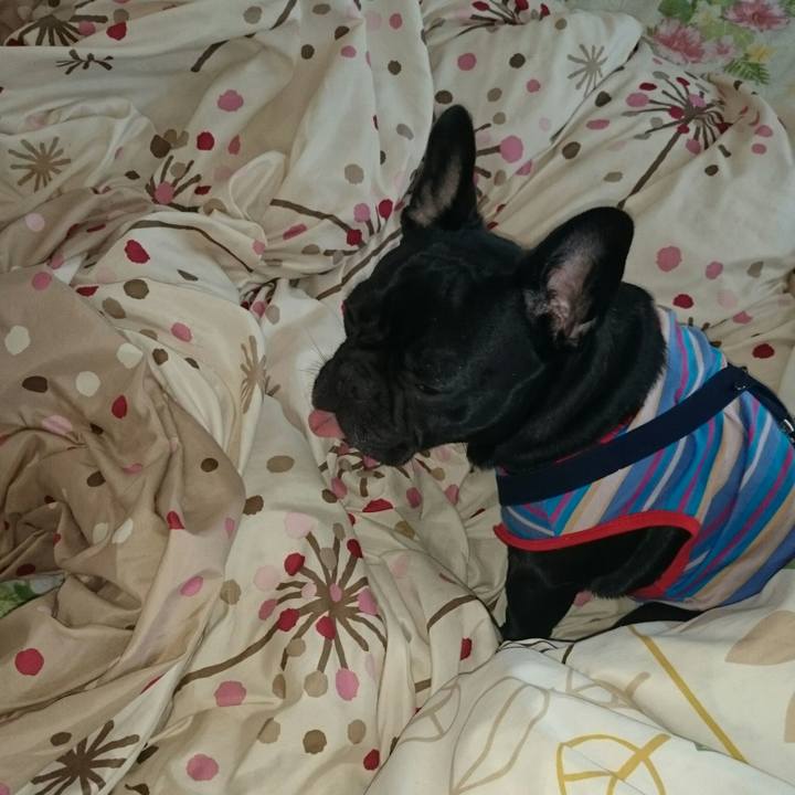 585eedfb 4e95 4850 a9f9 6277a028a1cb