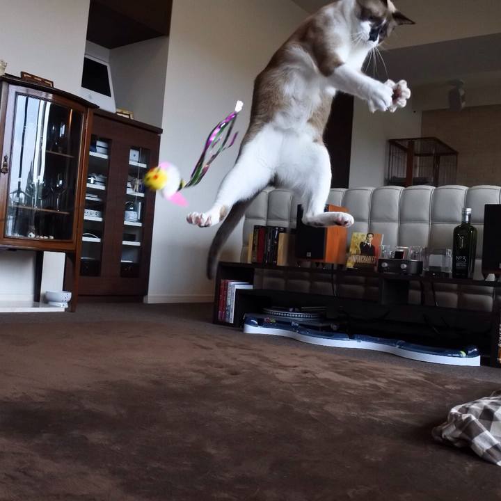 585f8884 3007 423c 8b5f 9767d3968aeb