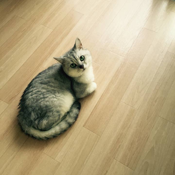 585fd3e2 339c 43e0 a1eb 3543068dc9cf