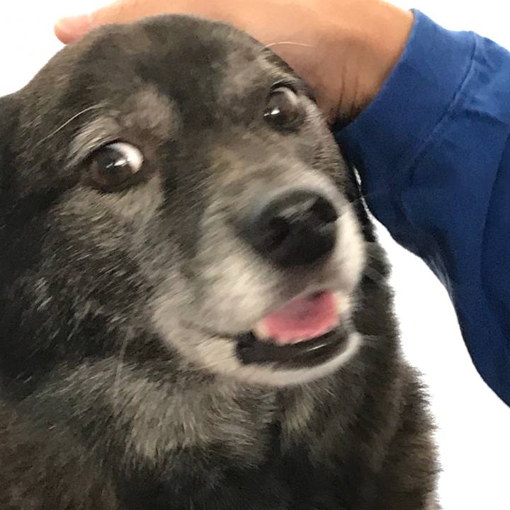 586007ad b803 42bd 905c 6485768c6874