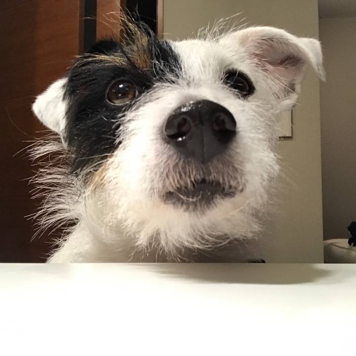 5860396d bc78 48c0 a0c1 a1ae16a4bb61