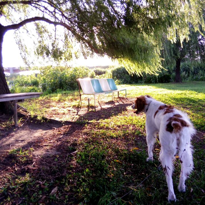 586048f7 41ba 4f78 acba 37c616f91658