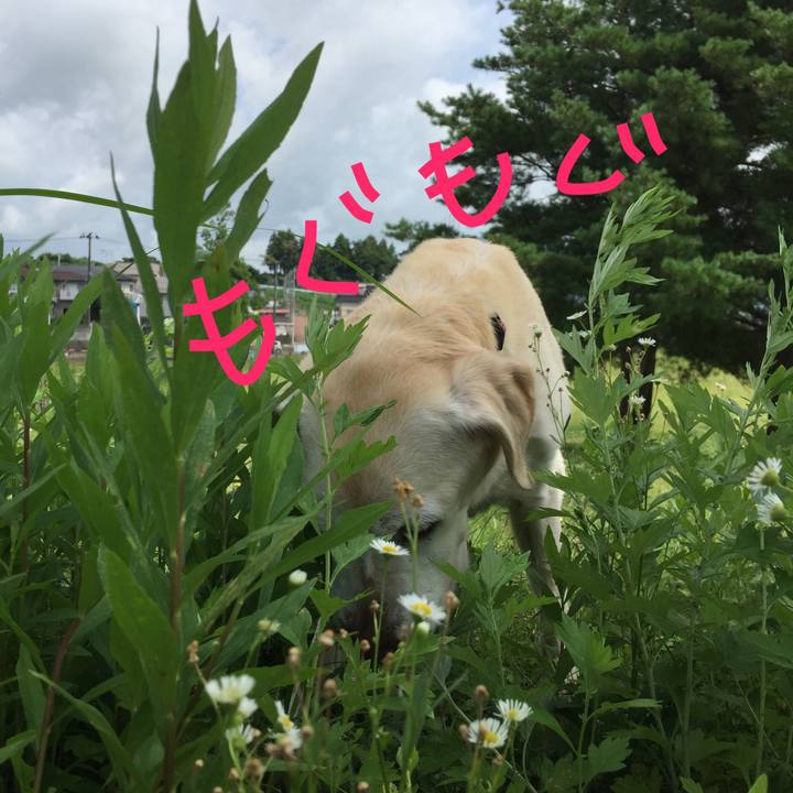 58614d55 eb0d 46dd 8830 34021428e505