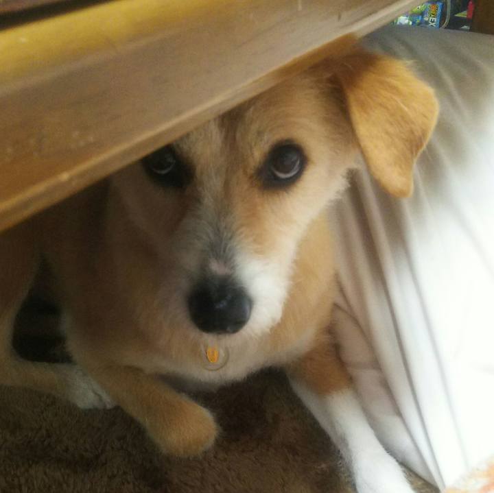 58615fd5 c32d 4ab1 981e 1300774cf334