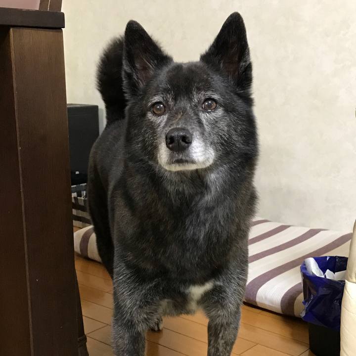 5862171d f195 4274 9bba 64ebbf8d64aa