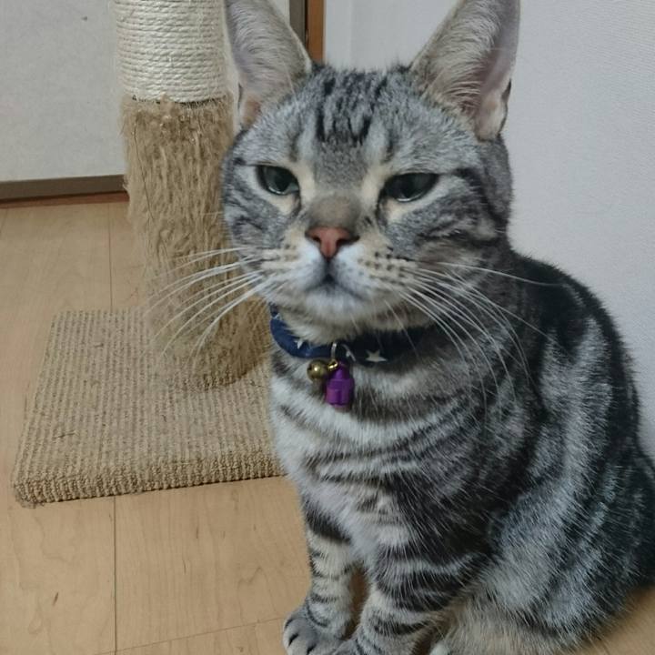 5863624c 6d62 4e2d 8f33 1452a9e662c7