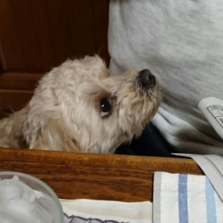 5863a09c 41d2 4220 9744 1231d8af45aa