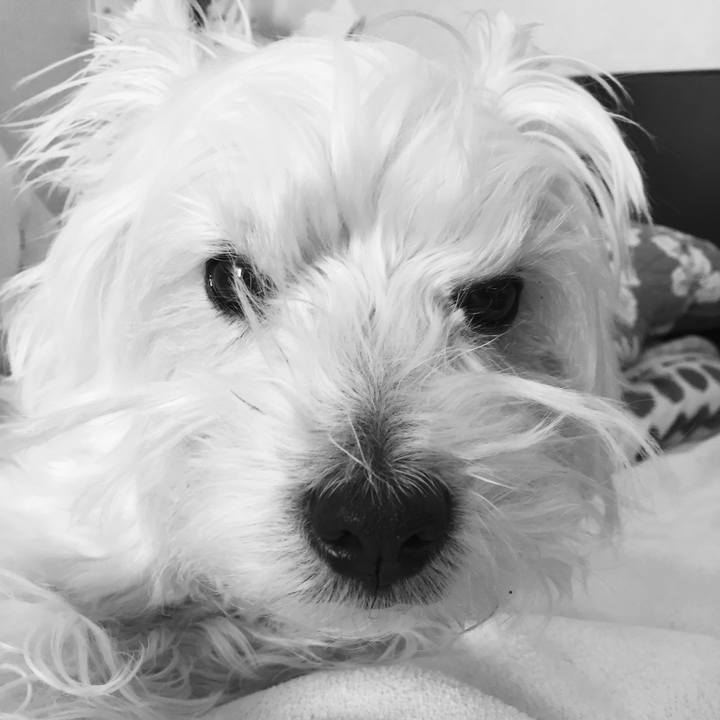 5863a384 b437 4130 bed4 41ea54f81cbe