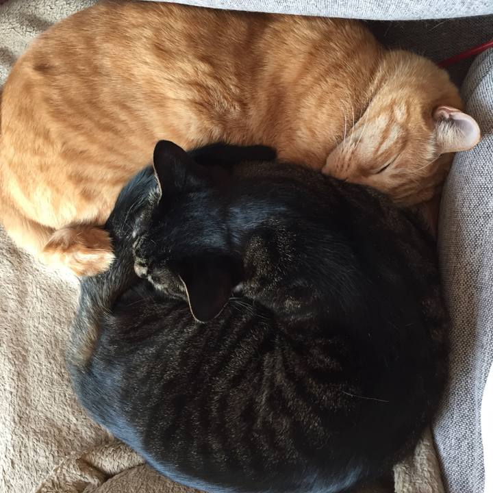 5863eb7c b047 444d 8c0e 8d595029e567