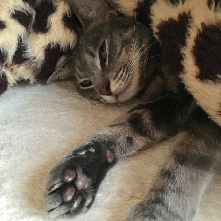 5863f759 73af 483d bff0 0ed885a35ff9