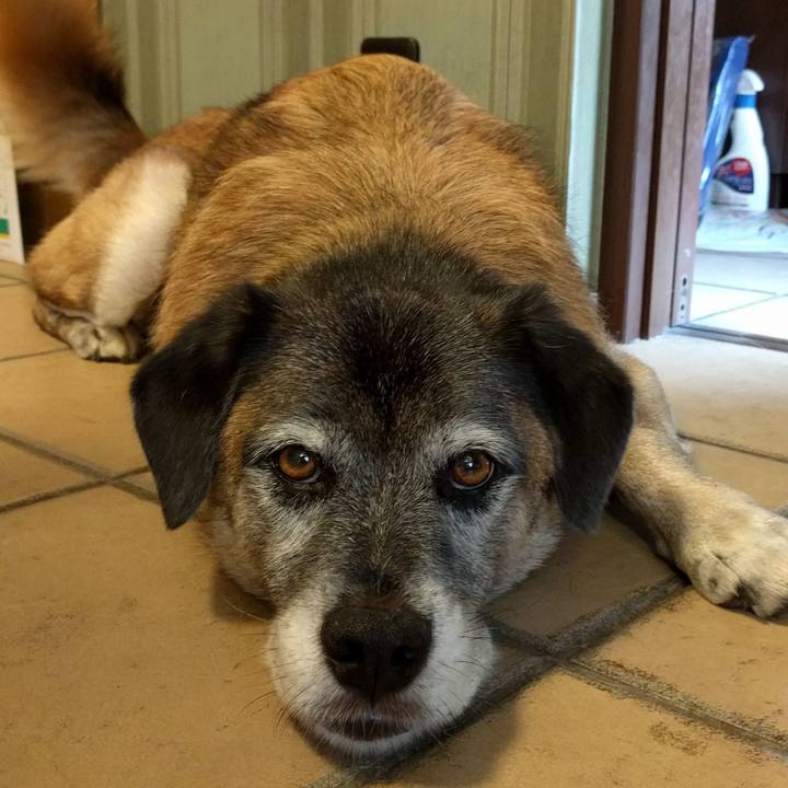 58644e19 e3f5 4228 9b05 040e33c5dc82