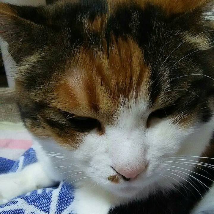 58645f52 eb8e 4115 bc18 38951a68e10f