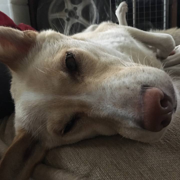 58646e02 26a4 4605 ac24 a61225010a70