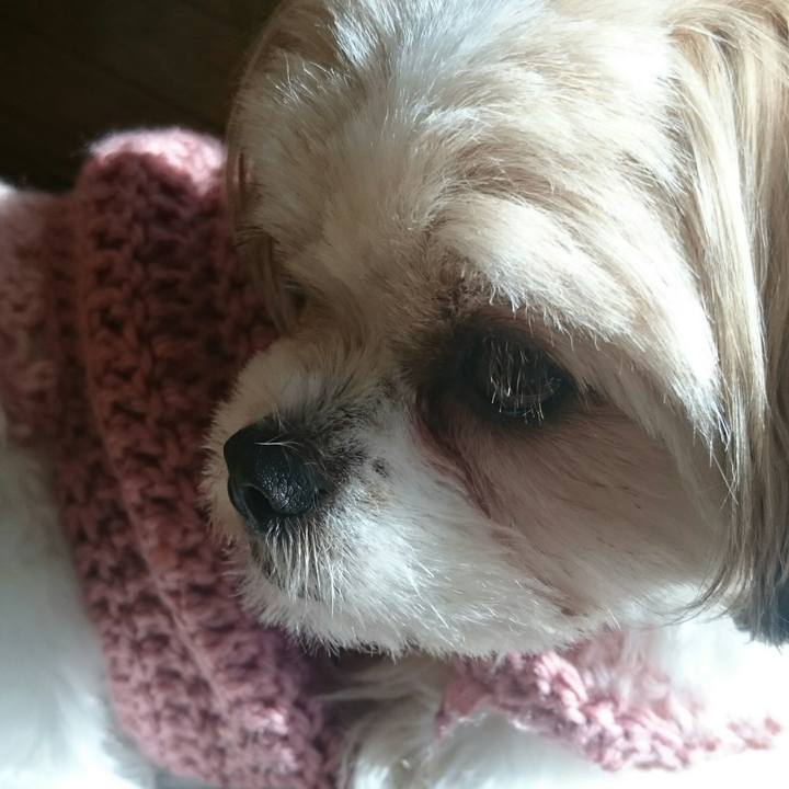 5864c3b0 6ccb 4396 adfa c125b72d370a