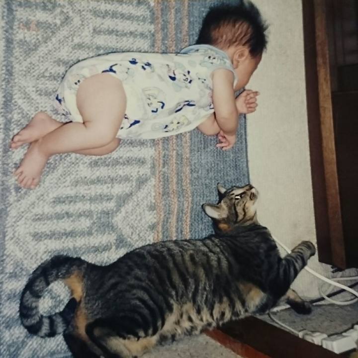 58654a55 4d2d 460b ab54 7c0350db6384