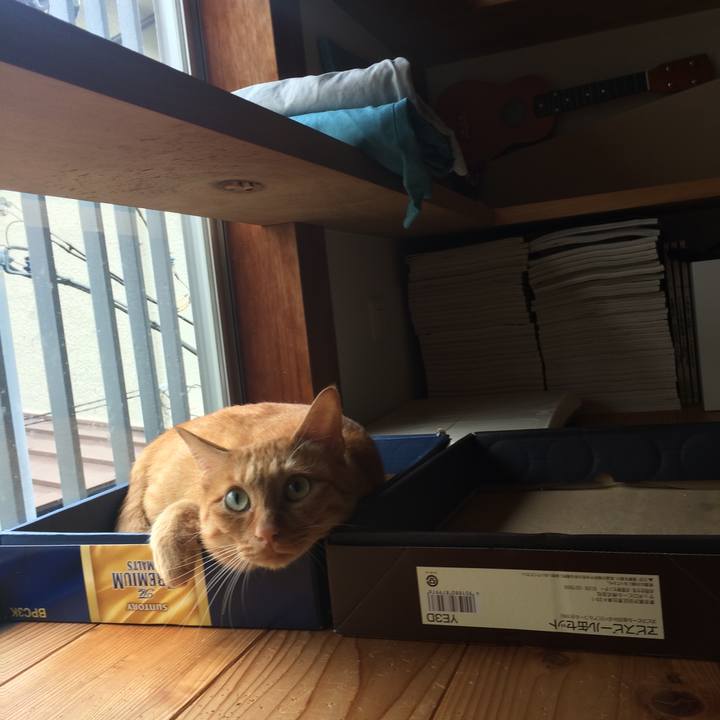 586578e6 96ac 48d0 ab58 bc72c88aa45f