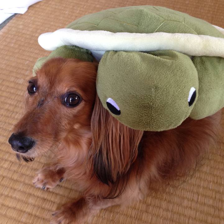 5866169b 4537 4f1b 9564 6743142d76b7