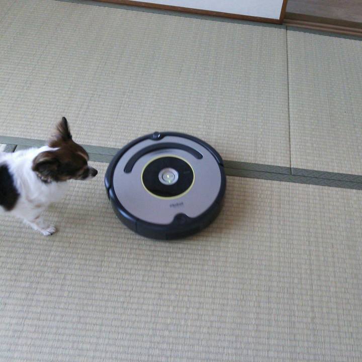 58661f25 0ed8 49a0 a1be 19dda665fe61