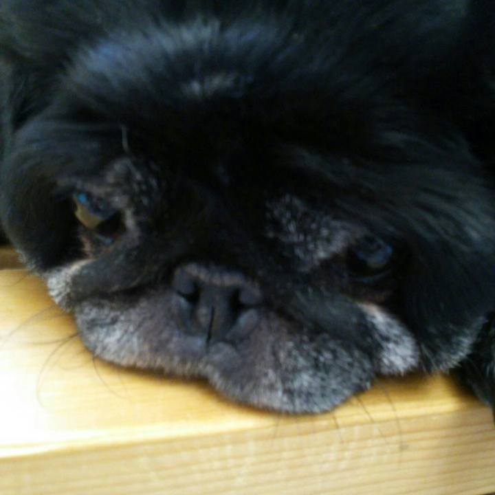 58664241 896b 4e1e 9c8e 5e7e7b920b62