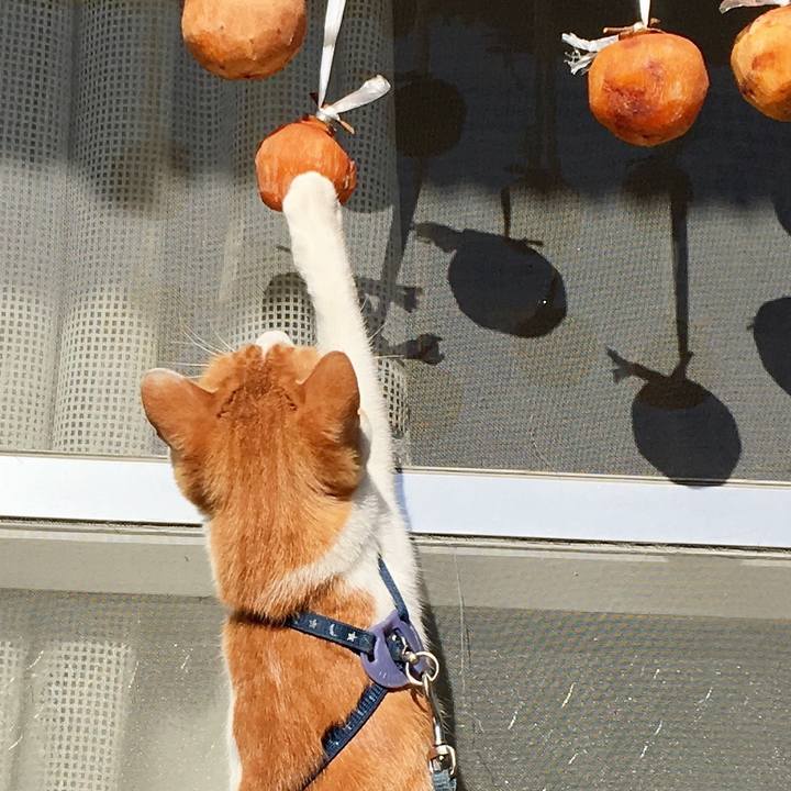 58665476 6bfc 4c3b aa94 04dbd609983a