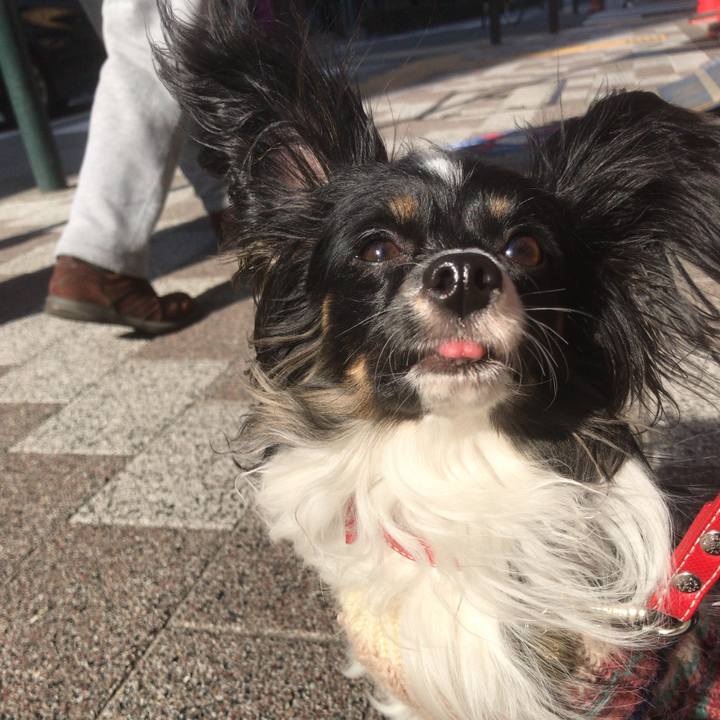 58667c19 c123 47fe a021 585a179b5304