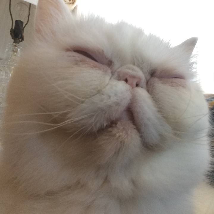 58671edf 0e9f 4dad 8c3c 469ac2181ac9