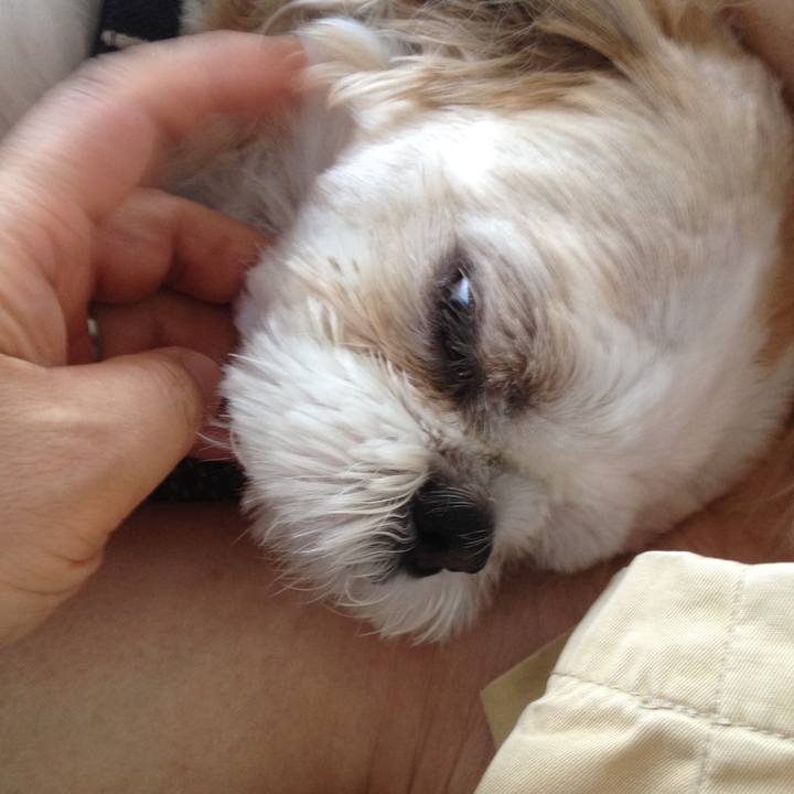 586766cd c8f0 4f75 b311 7f9186c7ebdb