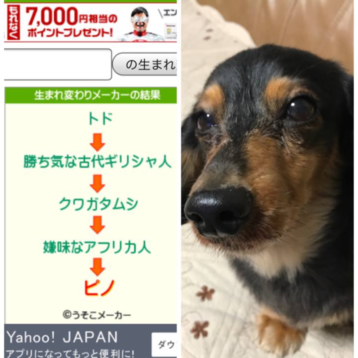 5867a9e4 c2d3 4912 a87e f6a3bb08c0e8