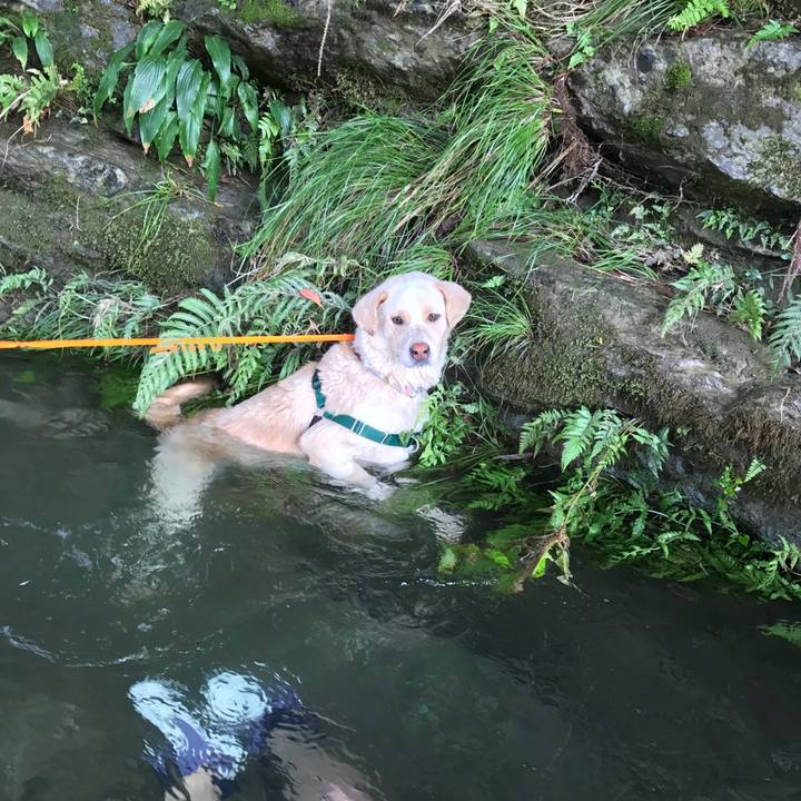 5868f0b0 ec1d 4c64 94b5 bd5dc9236002