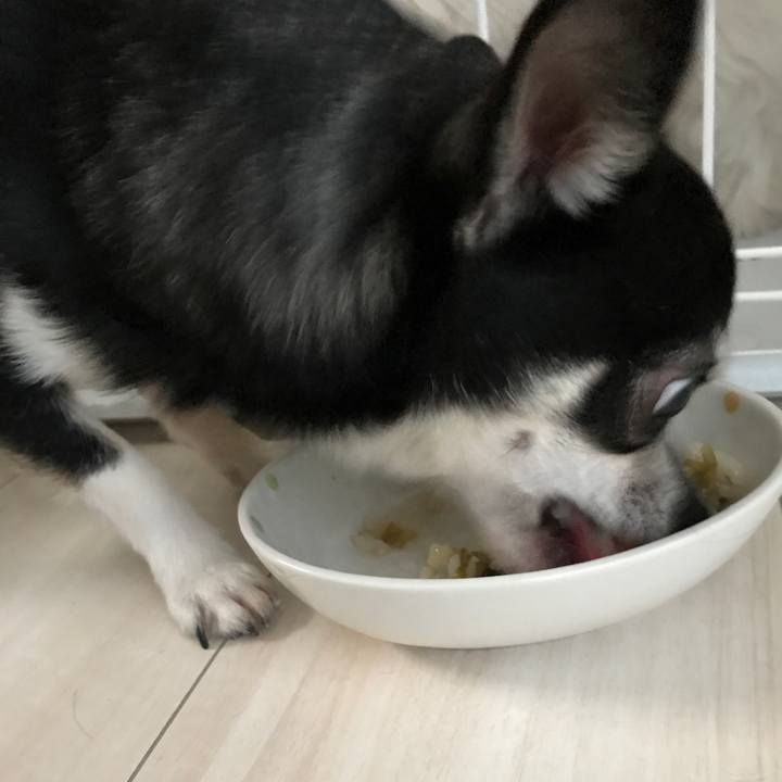 5869ade4 3b15 428b bfbf c1ddfa91e507