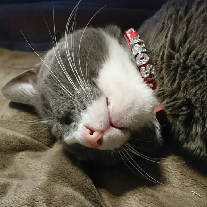 5869b783 2a6e 4e7c abb4 162e57d7cfc1