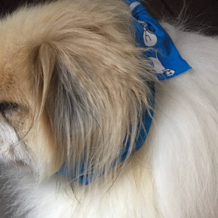 586b29a0 225e 44d2 a958 2078a3cc09e2