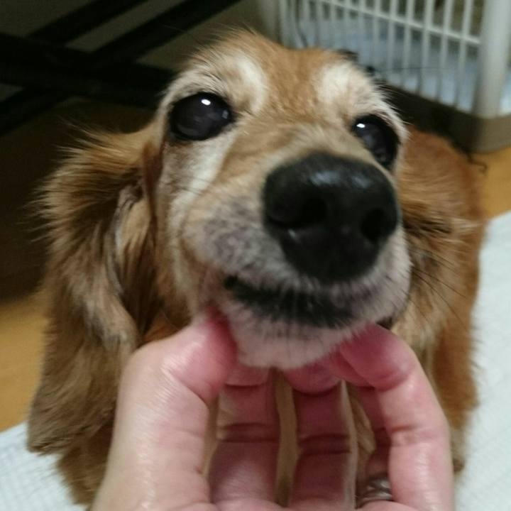 586b302f e957 42e5 aef0 dd3e25da7185