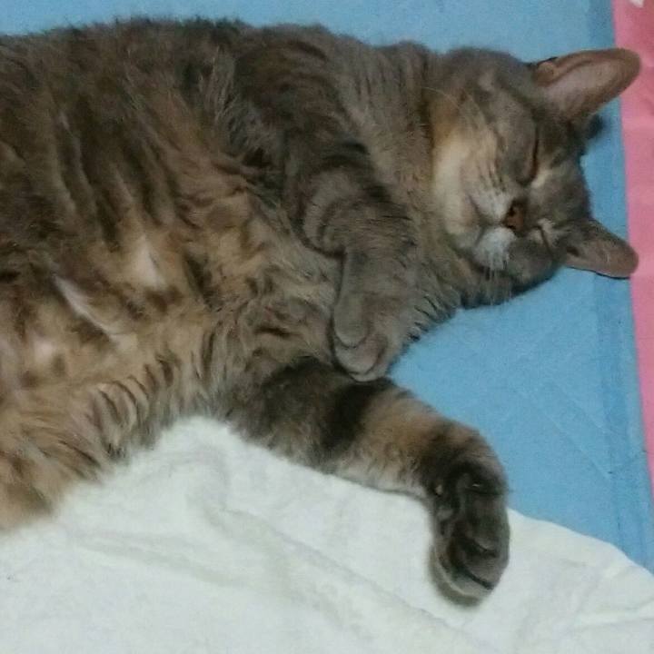 586b3c2a b4de 456f ae05 7df84c08bcff