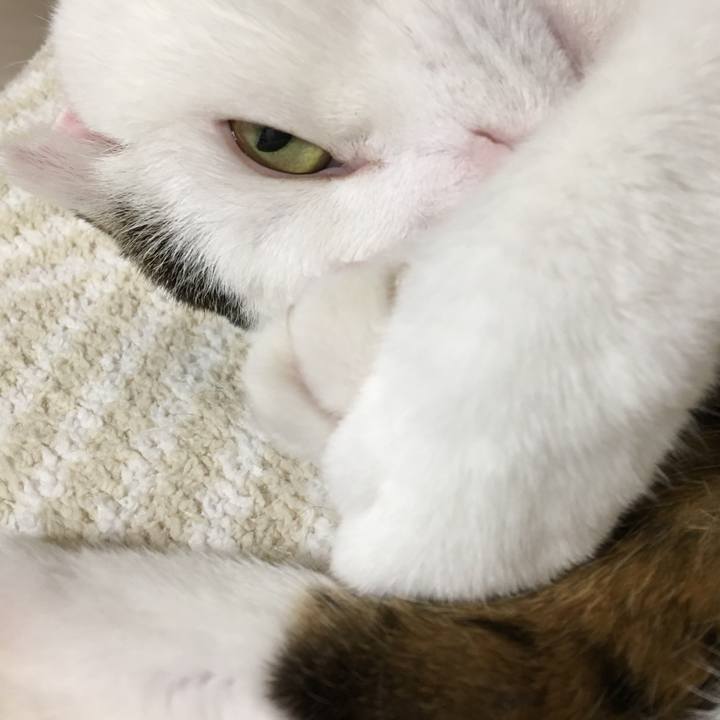 586c8daa e64b 4a11 939f 828aedf1cf43