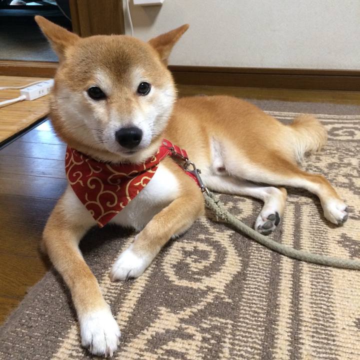 586cb3e5 4065 431a 8d7f 237d00521618