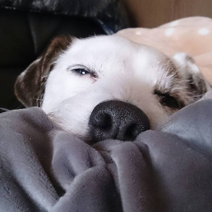 586d75dd e404 44b3 ae7b 02940e786ab5